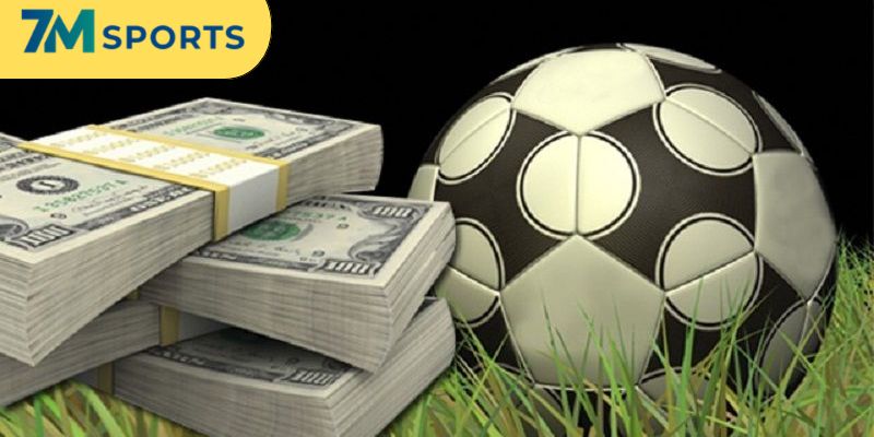 Các con số cụ thể trong giao dịch cá cược