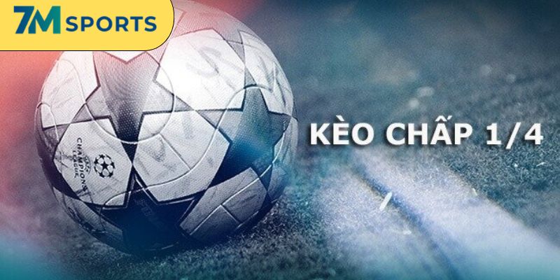 Giao diện xem kèo cược dễ theo dõi