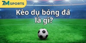 Kèo Dụ Là Gì? Các Cách Để Vào Nhận Diện Cơ Bản Nhất