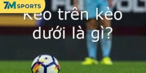 Kèo Trên Kèo Dưới Là Gì ? Cách Phân Loại Đội Bóng Chuẩn
