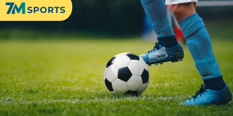 Phối hợp tính toán nhiều thông số liên quan